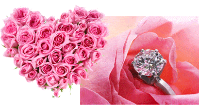 薔薇、婚約指輪